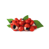 Guaraná 60 cápsulas